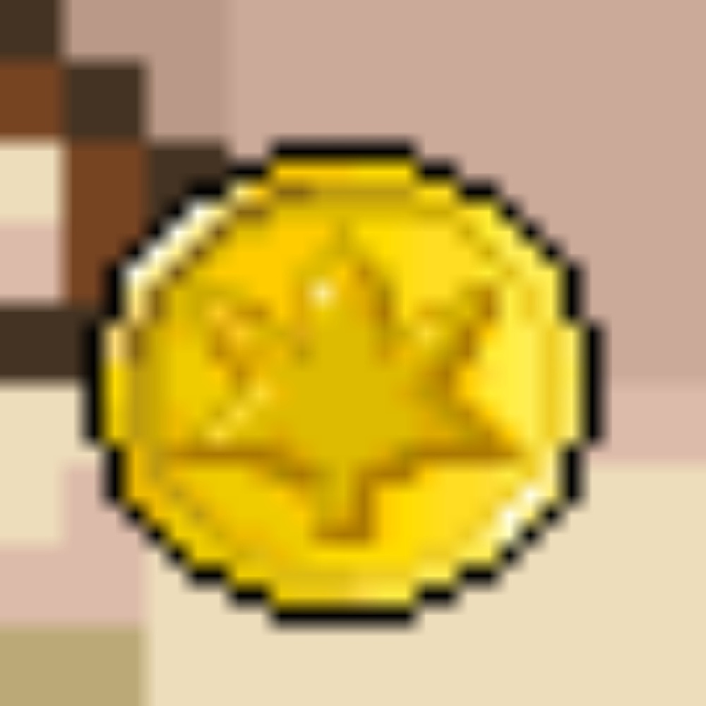 coin